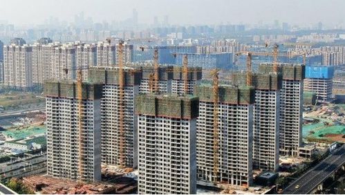 31省份前11月房地產(chǎn)開發(fā)投資排行榜出爐 17地增速超全國，上海房地產(chǎn)經(jīng)紀(jì)行業(yè)引關(guān)注